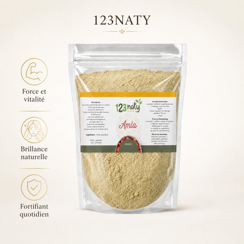 2X 1kg Amla poudre | 123NATY — Infographie bénéfices clés