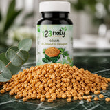 120 Gélules de Fenouil et Fenugrec – Plantes Médicinales – Santé & Vitalité Naturelle | 123NATY — Texture en gros plan