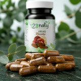 120 Gélules de Reishi | 123NATY — Texture en gros plan