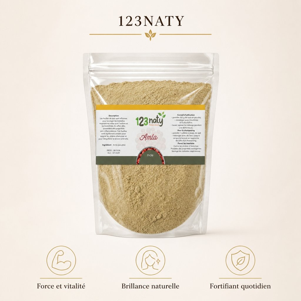 2X 100g Amla poudre | 123NATY — Infographie bénéfices clés