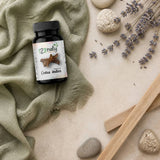 50 Capsules de Costus Indien — Ambiance flat lay