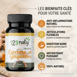 123naty-curcuma-gingembre-gelules-infographie-v2.jpg