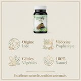 Gélules Costus Indien 120 - infographie-benefices