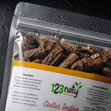 Pack 1kg Costus Indien Brut & 1kg Costus Marin Brut | 123NATY — Détail macro du flacon