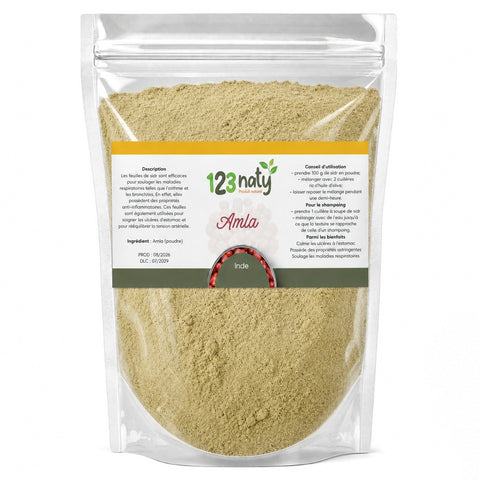 100g Amla poudre