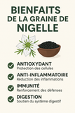 1kg Graines de Nigelle – Cumin Noir –  Naturel